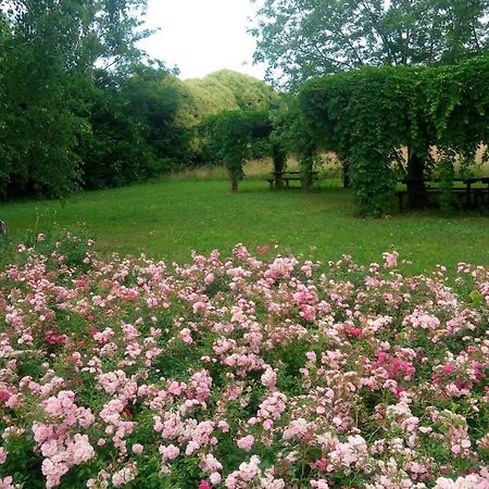 Agriturismo Il Magicorto Villa Cassola Bagian luar foto