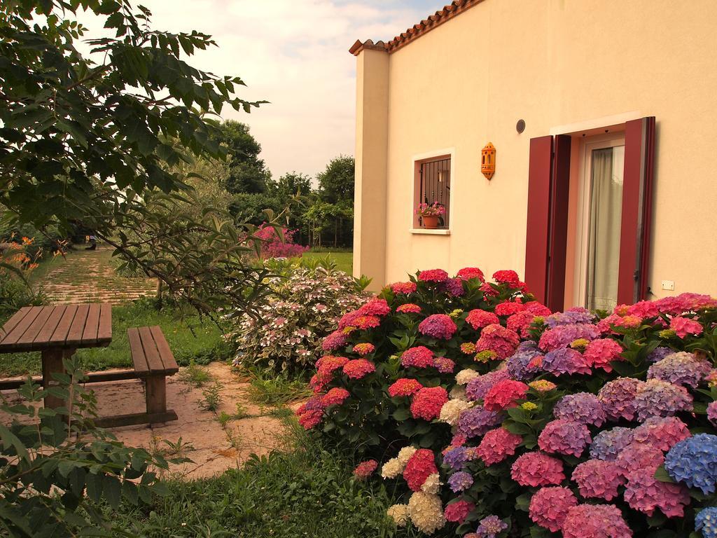 Agriturismo Il Magicorto Villa Cassola Ruang foto