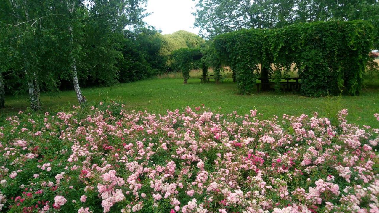 Agriturismo Il Magicorto Villa Cassola Bagian luar foto