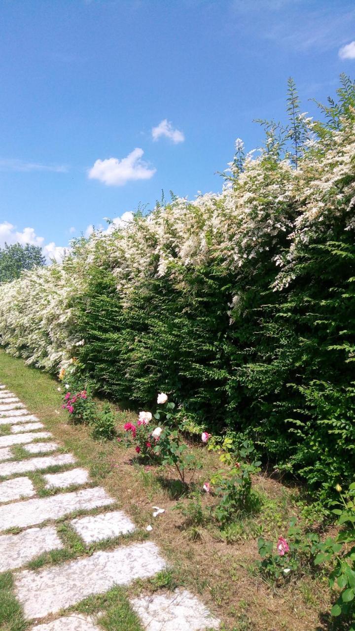 Agriturismo Il Magicorto Villa Cassola Bagian luar foto